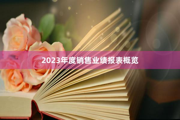 2023年度销售业绩报表概览